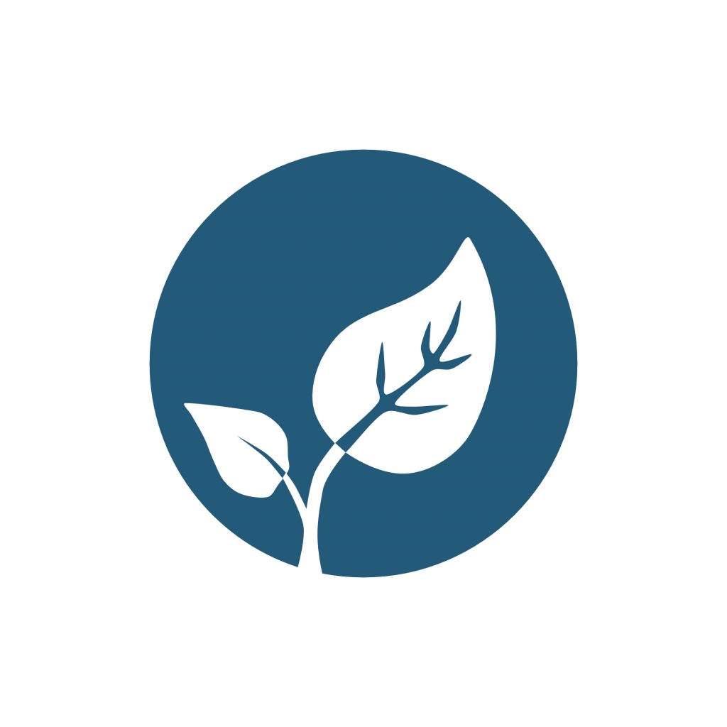 Leaf representing sustainability